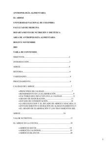 ANTROPOLOGÍA ALIMENTARIA EL ARROZ UNIVERSIDAD NACIONAL DE COLOMBIA FACULTAD DE MEDICINA