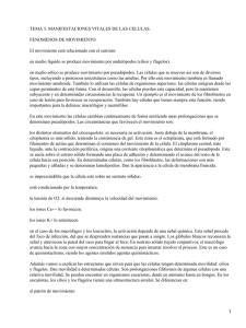TEMA 5. MANIFESTACIONES VITALES DE LAS CELULAS. FENOMENOS DE MOVIMIENTO.