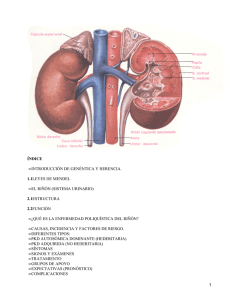Enfermedad poliquística del riñón
