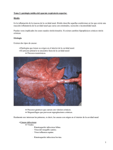 Patología Médica del aparato respiratorio superior