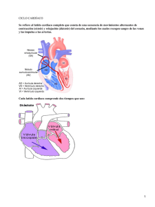 Sistema cardíaco