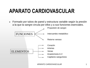 Aparato cardiovascular