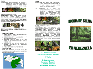 Bioma de selva en Venezuela