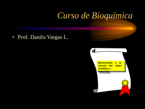 Curso de Bioquímica • Prof. Danilo Vargas L.