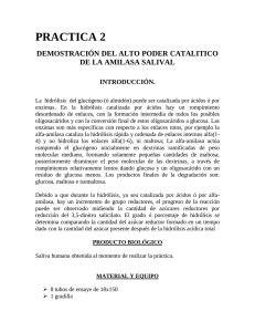PRACTICA 2 DEMOSTRACIÓN DEL ALTO PODER CATALITICO DE LA AMILASA SALIVAL INTRODUCCIÓN.