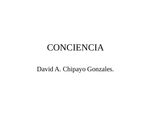 CONCIENCIA David A. Chipayo Gonzales.