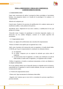 Dimensiones y áreas que componen el comportamiento motor