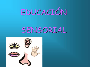 Educación sensorial