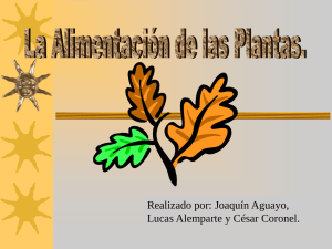 Realizado por: Joaquín Aguayo, Lucas Alemparte y César Coronel.
