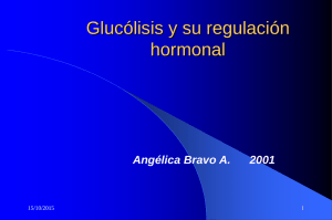 Glucólisis y su regulación hormonal