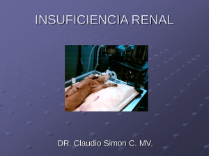 INSUFICIENCIA RENAL DR. Claudio Simon C. MV.
