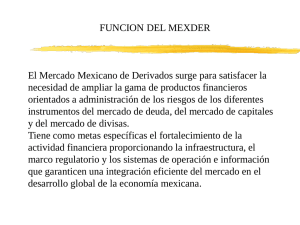 Mercado mexicano de derivados