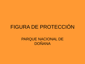 FIGURA DE PROTECCIÓN PARQUE NACIONAL DE DOÑANA