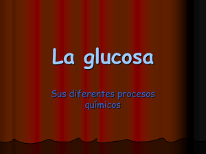 Procesos químicos de la glucosa