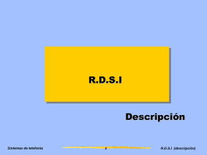 R.D.S.I Descripción Sistemas de telefonía R.D.S.I  (descripción)