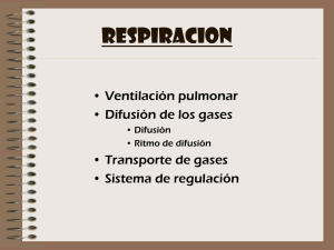 RESPIRACION • Ventilación pulmonar • Difusión de los gases • Transporte de gases