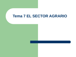 Sector agrario