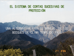 Sistema de cortas sucesivas de protección como alternativa