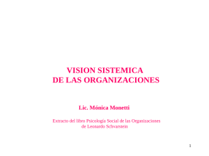 Visión sistemática de las organizaciones en Argentina