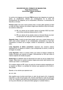 Descripción formato PGM. - Universidad Católica del Maule