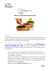 Ejercicio 12 Mercados de Carbono (DP1)