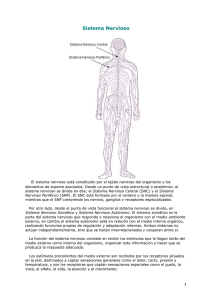 Atlas Sistema Nervioso