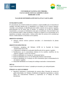 programa_ taller identificación_acor_2014