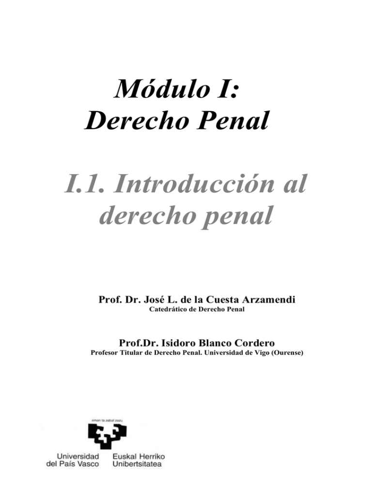 Introducci N Al Derecho Penal