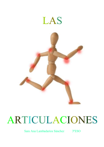 En anatomía, una articulación es la unión entre dos o más huesos