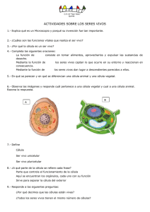 ACTIVIDADES SOBRE LOS SERES VIVOS