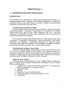 PRÁCTICA No. 4  1.1  METODOS DE ESTUDIO HISTOLÓGICO