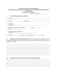 formulario para plan de manejo de plantaciones por incentivos