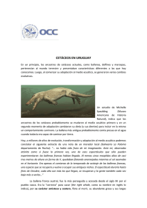 Cetáceos en Uruguay