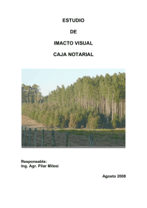 Impacto visual - Caja Notarial