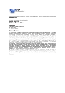 Interacción Protector-Membrana: Estudio Interdisciplinario de