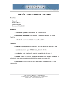 tinción con coomassie coloidal