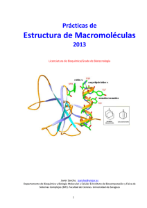 Practicas de Estructura de Macromoléculas