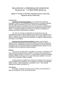 reporte - Universidad Autónoma Metropolitana
