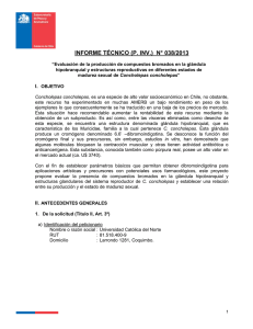 INFORME TÉCNICO (P. INV.)  N° 038/2013