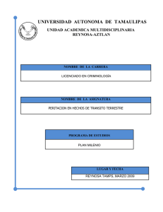 peritacion en hechos de transito terrestre