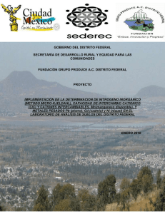 Mendoza PM 2007. Estudio de metales pesados en suelos