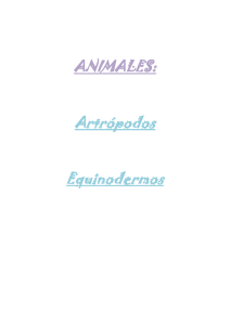 ANIMALES: