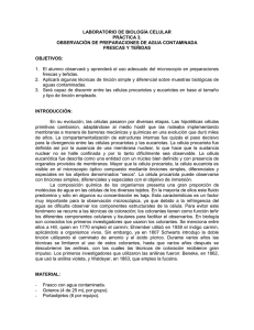 LABORATORIO DE BIOLOGÍA CELULAR PRÁCTICA 3. OBSERVACIÓN DE PREPARACIONES DE AGUA CONTAMINADA
