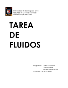 Complemento Fluidos - Universidad de Santiago