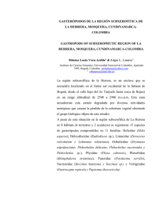 GASTERÓPODOS DE LA REGIÓN SUBXEROFITICA DE LA HERRERA, MOSQUERA, CUNDINAMARCA- COLOMBIA