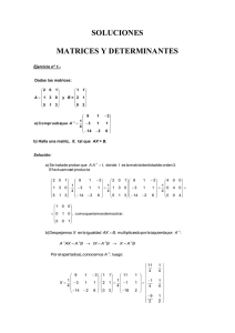 Soluciones de matrices y determinantes