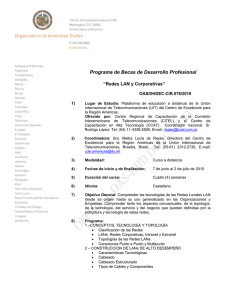 Programa de Becas de Desarrollo Profesional  “Redes LAN y Corporativas” OAS/DHDEC-CIR.078/2010