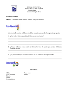 UNIDAD EDUCATIVA INSTITUTO CECILIO ACOSTA Biología; 2 año  “___” Docente: Ariángela Rivas