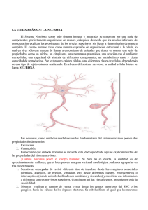 Estructura, funcion y semiologia neurologica1