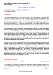 Procesamiento Industrial Laminados Argentina SA (CSJN 17